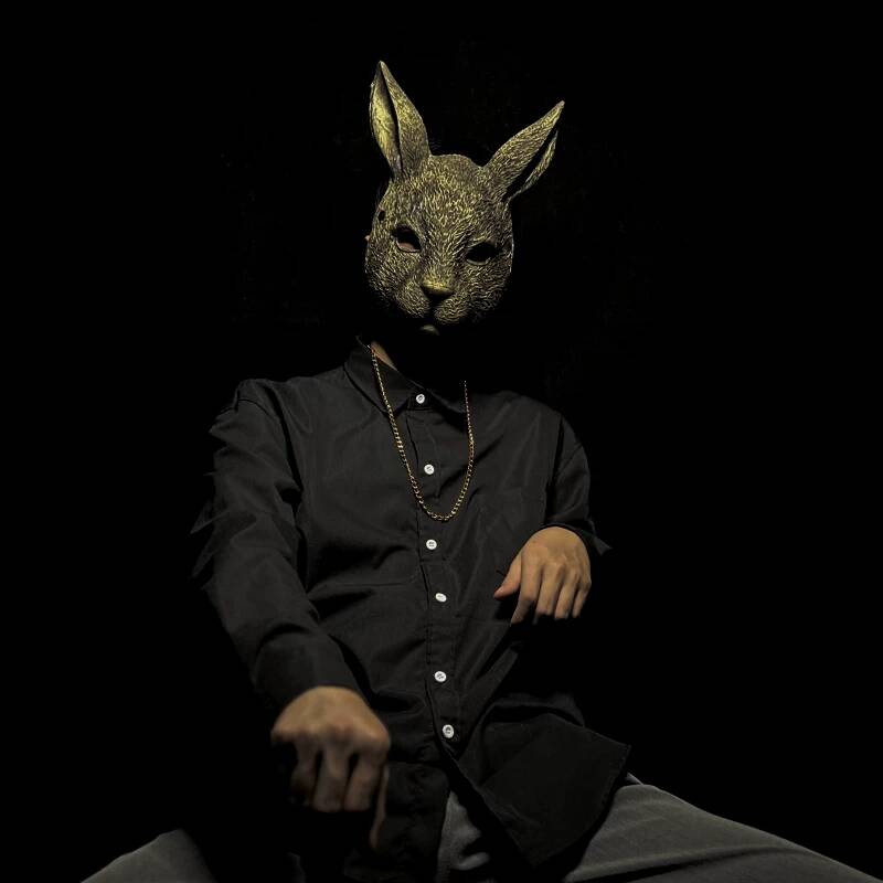 Rabbit Mask Full Face Children - Kids Face Mask ulasan dan harga